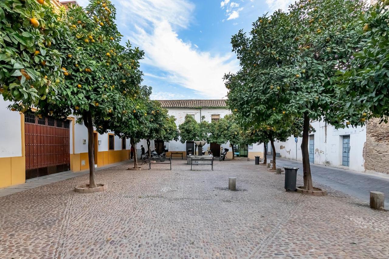 Bhost - Regina Apartment Cordoba Exterior photo